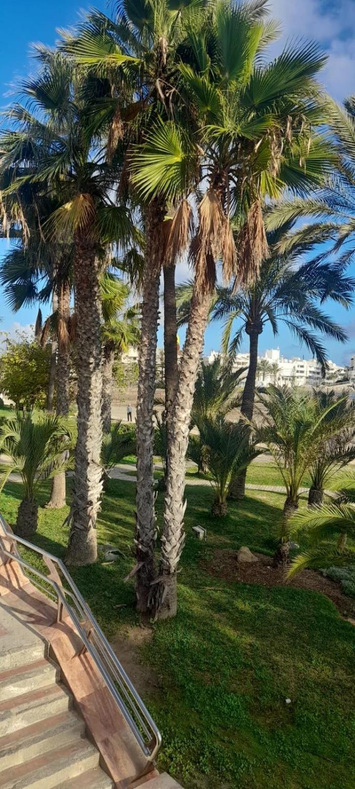 Apartamento Pepita Alay Benalmádena Exterior photo